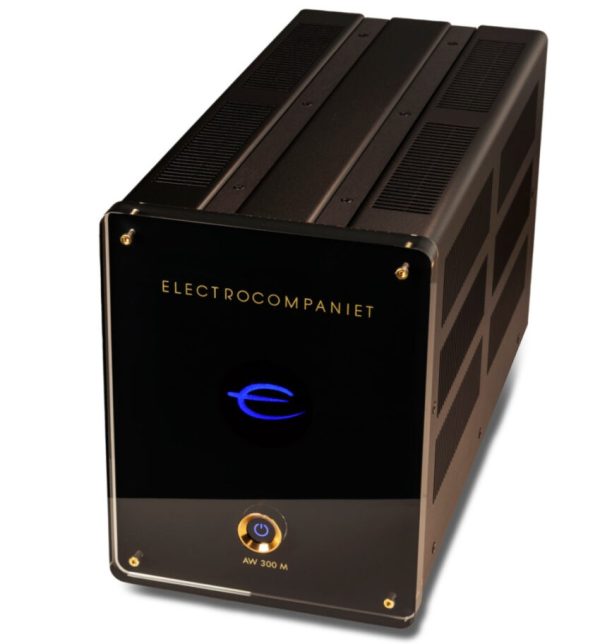 Electrocompaniet AW 300M, моноблок 300 Вт