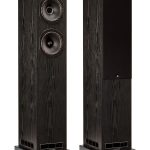 Fyne Audio F501E, black