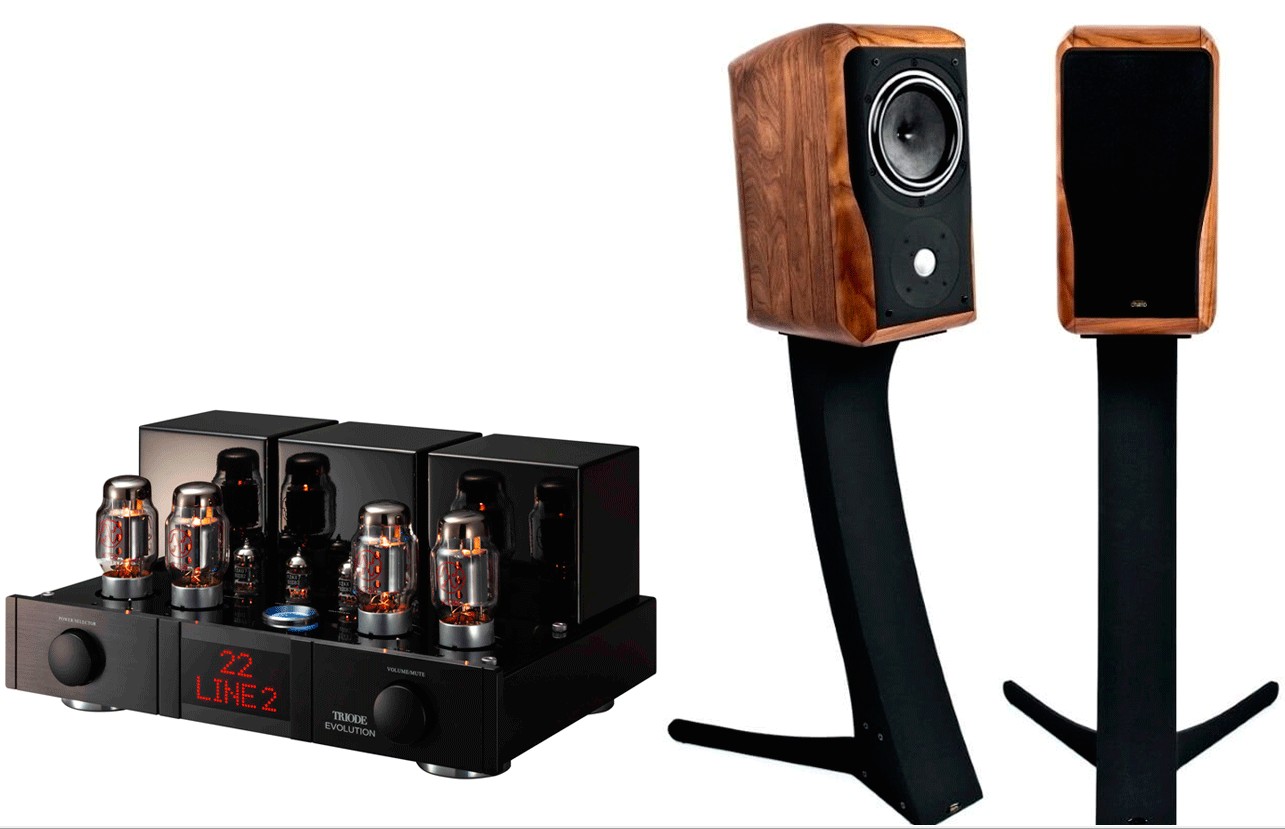 image-7.jpg Triode Evolution + Chario Academy Sonnet — изображение 1